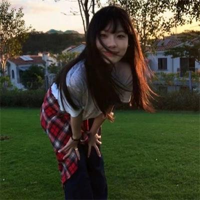 几度菊花香